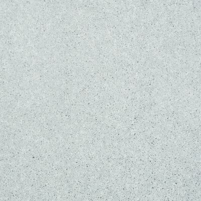 Shaw Floors Foundations Well Played I 15′ Sheer Silver 00500_E0596