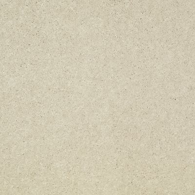 Shaw Floors Value Collections Main Stay 15′ Fresco 00100_E9921