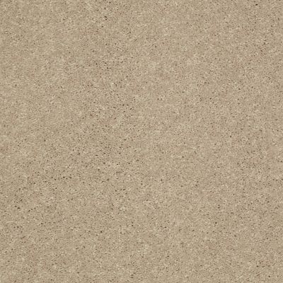 Shaw Floors Value Collections Main Stay 15′ Almond Bark 00106_E9921