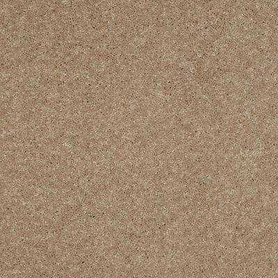 Shaw Floors Value Collections Main Stay 15′ Honeycomb 00200_E9921