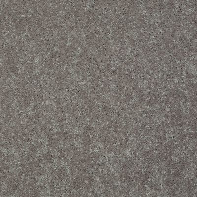 Shaw Floors Value Collections Main Stay 15′ Mocha Frost 00702_E9921