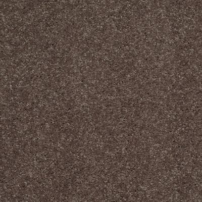 Shaw Floors Value Collections Main Stay 15′ Briar Patch 00703_E9921