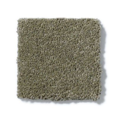 Anderson Tuftex Builder Lofty Paws I Dry Sage 00536_ZZB92