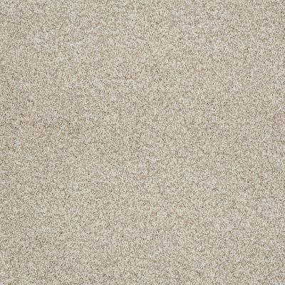 Shaw Floors Eco Choice Texture Tonal Select Anchorage Texture 00192_755Q5