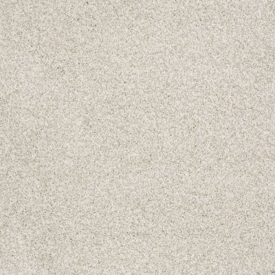 Shaw Floors Eco Choice Texture Tonal Select Denali Texture 00290_755Q5