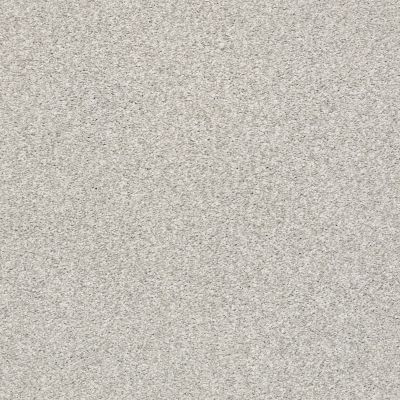Shaw Floors Eco Choice SIMPLE COMFORTS TONAL I Quiet Time (T) 514T_7B5S4