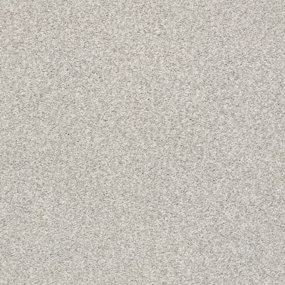 Shaw Floors Eco Choice SIMPLE COMFORTS TONAL II Quiet Time (T) 514T_7B5S5