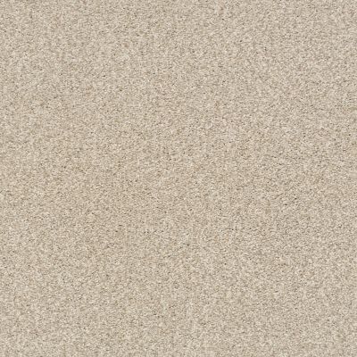 Shaw Floors Eco Choice SIMPLE COMFORTS TONAL II Dinner With Friends (T) 732T_7B5S5