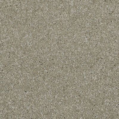 Shaw Floors Value Collections Xvn04 Radiance 00500_E1234