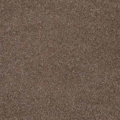 Shaw Floors Roll Special Xv694 Rustic Taupe 00706_XV694