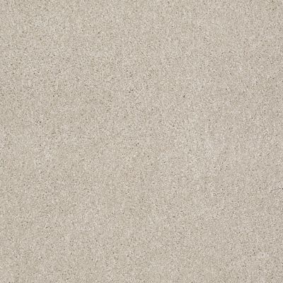 Shaw Floors Shaw Flooring Gallery Perfectly Timed Linen 00104_5572G