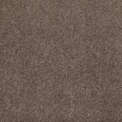 Shaw Floors THAT’S RIGHT Rustic Taupe 00706_E0812