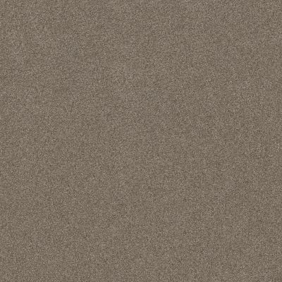 Shaw Floors SFA LOOK FORWARD Moccasin 00714_EA605