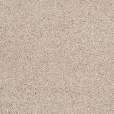 Shaw Floors Roll Special Xv815 French Canvas 00102_XV815