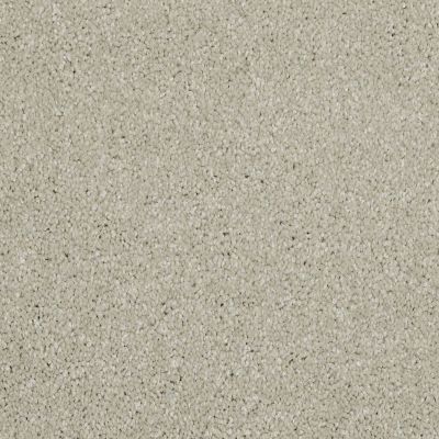 Shaw Floors Value Collections Xvn06 (s) Soft Chamois 00103_E1238