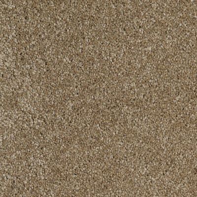 Shaw Floors Value Collections Xvn06 (s) Acorn 00700_E1238
