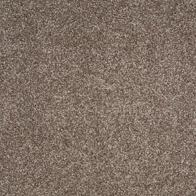 Shaw Floors Value Collections Always Ready II Net Cobble Brown 00798_E9771
