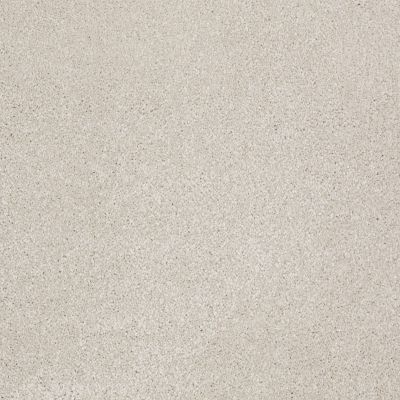 Shaw Floors Value Collections Xvn07 (s) Mist 00107_E1240