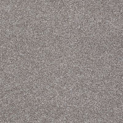 Shaw Floors Value Collections Xvn07 (t) Rice Pilaf 00713_E1241