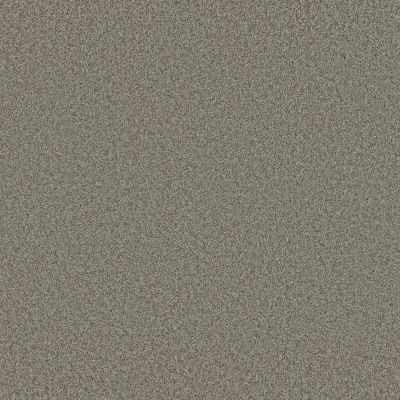 Shaw Floors Parlay Pewter 00550_E0811