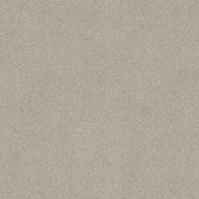 Shaw Floors YOU KNOW IT Cement Mix 00116_E0807