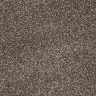 Shaw Floors You Know It Rustic Taupe 00706_E0807