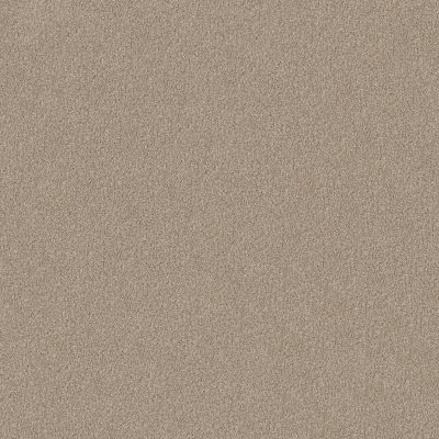 Shaw Floors YOU KNOW IT Cork Board 00711_E0807