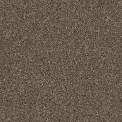 Shaw Floors YOU KNOW IT Saddle 00718_E0807