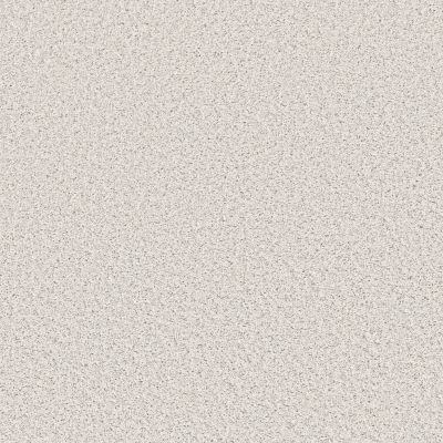 Shaw Floors Value Collections Color Flair Net First Star 00110_E0853