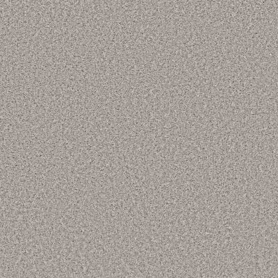 Shaw Floors Value Collections Color Flair Net Sterling Haze 00500_E0853