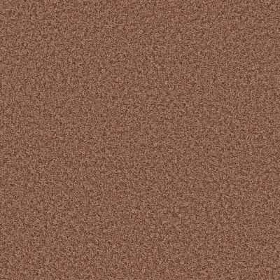 Shaw Floors Value Collections Color Flair Net Summer Coral 00600_E0853