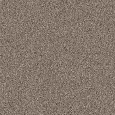 Shaw Floors Color Flair Tempting Taupe 00701_E0852