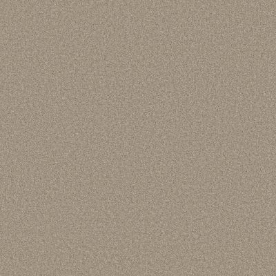Shaw Floors Great Choice Smooth Taupe 00712_E9130