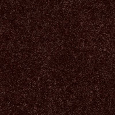 Shaw Floors Value Collections Newbern Classic 12′ Net Coffee 55755_E9198