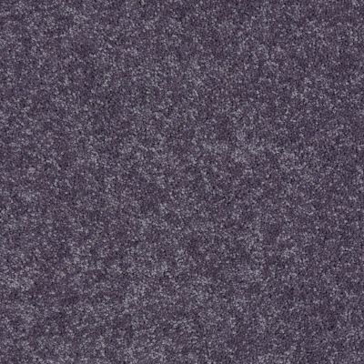 Shaw Floors NEWBERN CLASSIC 12′ Violet Crush 00930_E0949