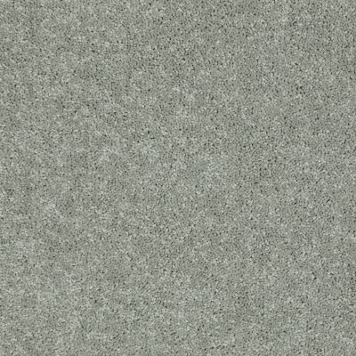 Shaw Floors Home Foundations Gold Modern Image 15′ Pebble Path 00132_HGP20