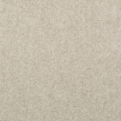 Shaw Floors Home Foundations Gold Modern Image 15′ Dove 55700_HGP20