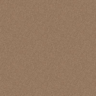 Shaw Floors Value Collections Nantucket Summer 15′ Dusty Trail 55793_E9919
