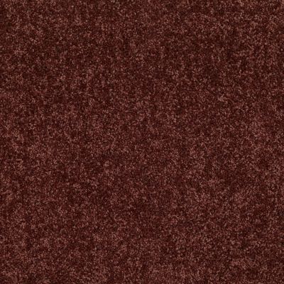 Shaw Floors BRICEVILLE CLASSIC 12 Coffee 55755_E0951