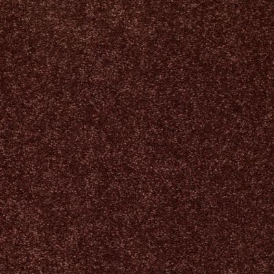 Shaw Floors Value Collections NEWBERN CLASSIC 15′ NET Coffee 55755_E9199