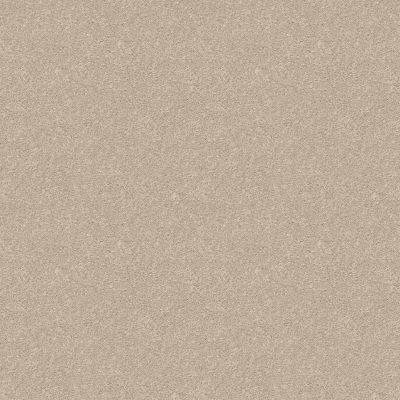 Shaw Floors Value Collections Dyersburg Classic 12 Net Ivory Tint 55101_E9206