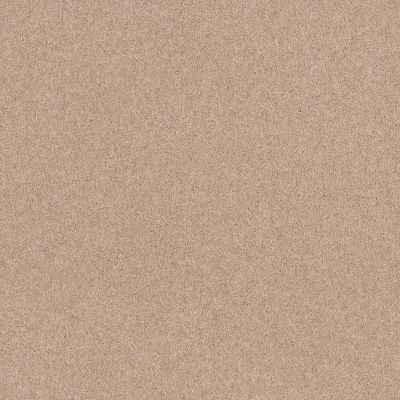 Shaw Floors Home Foundations Gold Traditional Allure 12′ Sheer Ecru 00153_HGG67