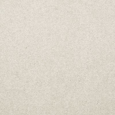 Shaw Floors Northeast Local Stock Program Independence Day 12′ Taupe 00105_NE104