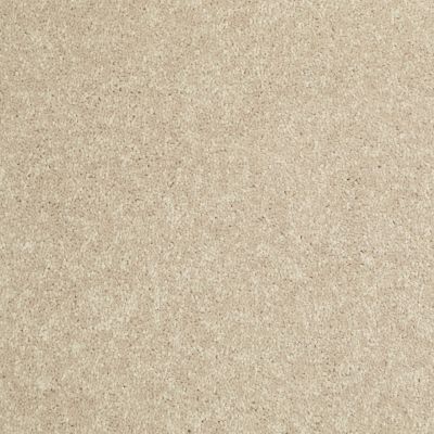 Shaw Floors Home Foundations Gold Traditional Allure 12′ Sand Dollar 00116_HGG67