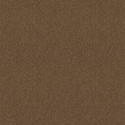 Shaw Floors Value Collections Dyersburg Classic 12 Net Driftwood 55720_E9206