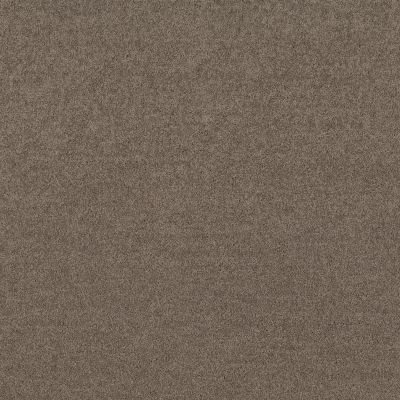 Shaw Floors Value Collections Dyersburg Classic 12 Net Suede 00731_E9206