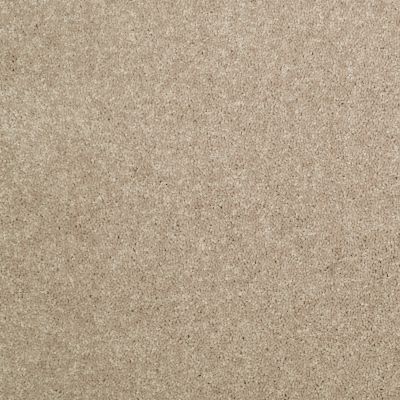 Shaw Floors Home Foundations Gold Traditional Allure 12′ Field Khaki 00793_HGG67