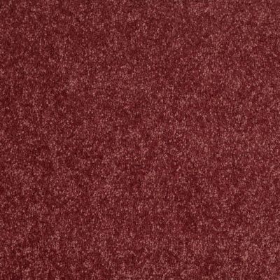Shaw Floors Value Collections Dyersburg Classic 12 Net Radiant Orchid 00931_E9206