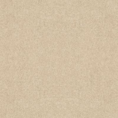 Shaw Floors Showhouse Collection Shasta Warm Beige 14210_06034