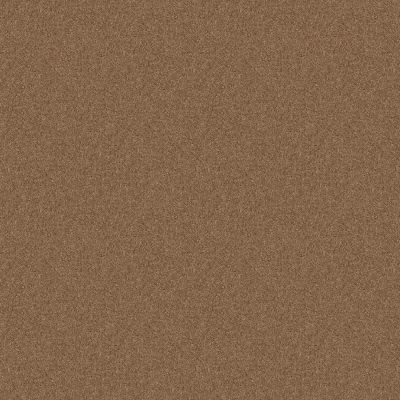 Shaw Floors Home Foundations Gold Meadow Vista 12′ Candied Truffle 55750_HGP17